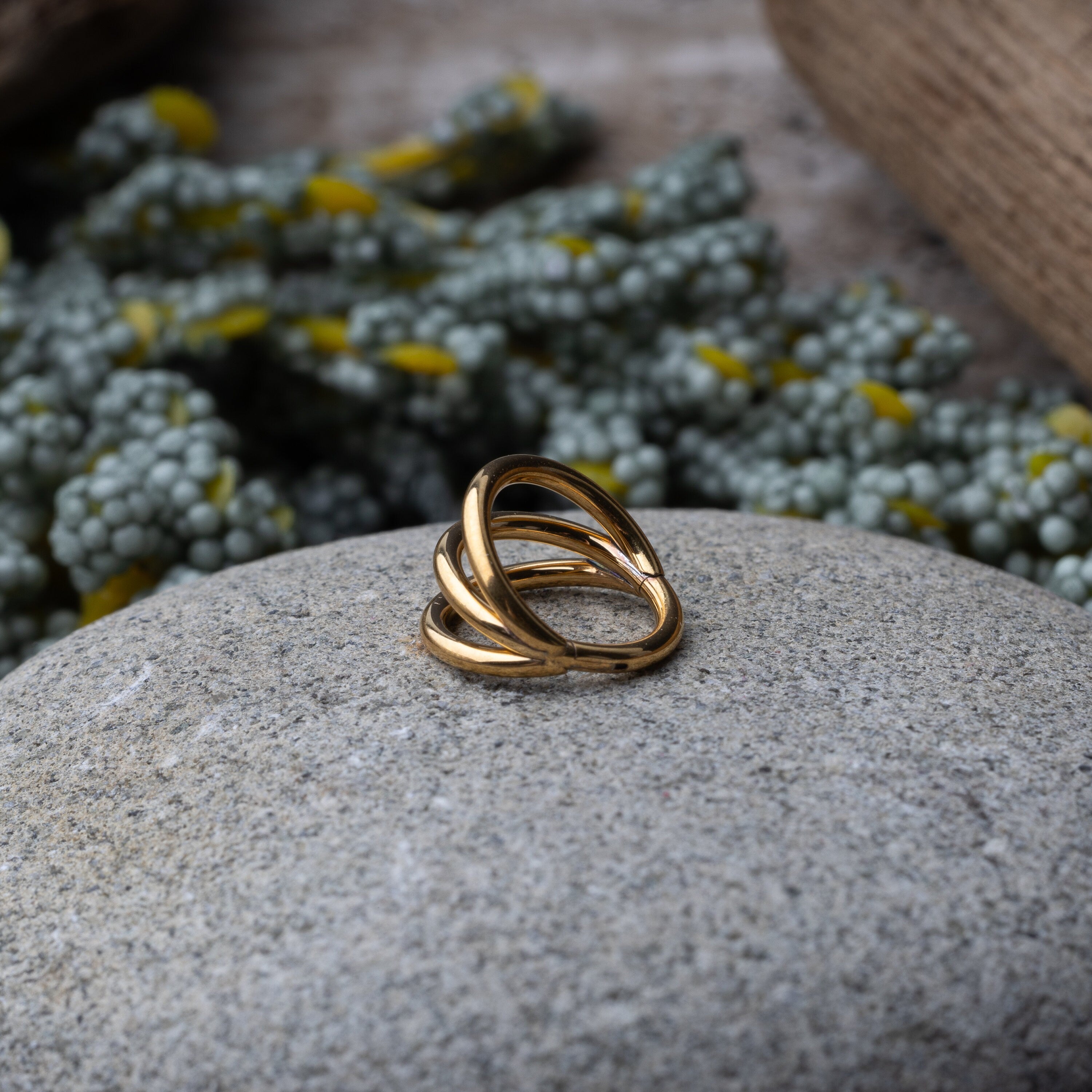 Four triple-band hoop septum clicker ring in gold finish, displayed on a rocky background.