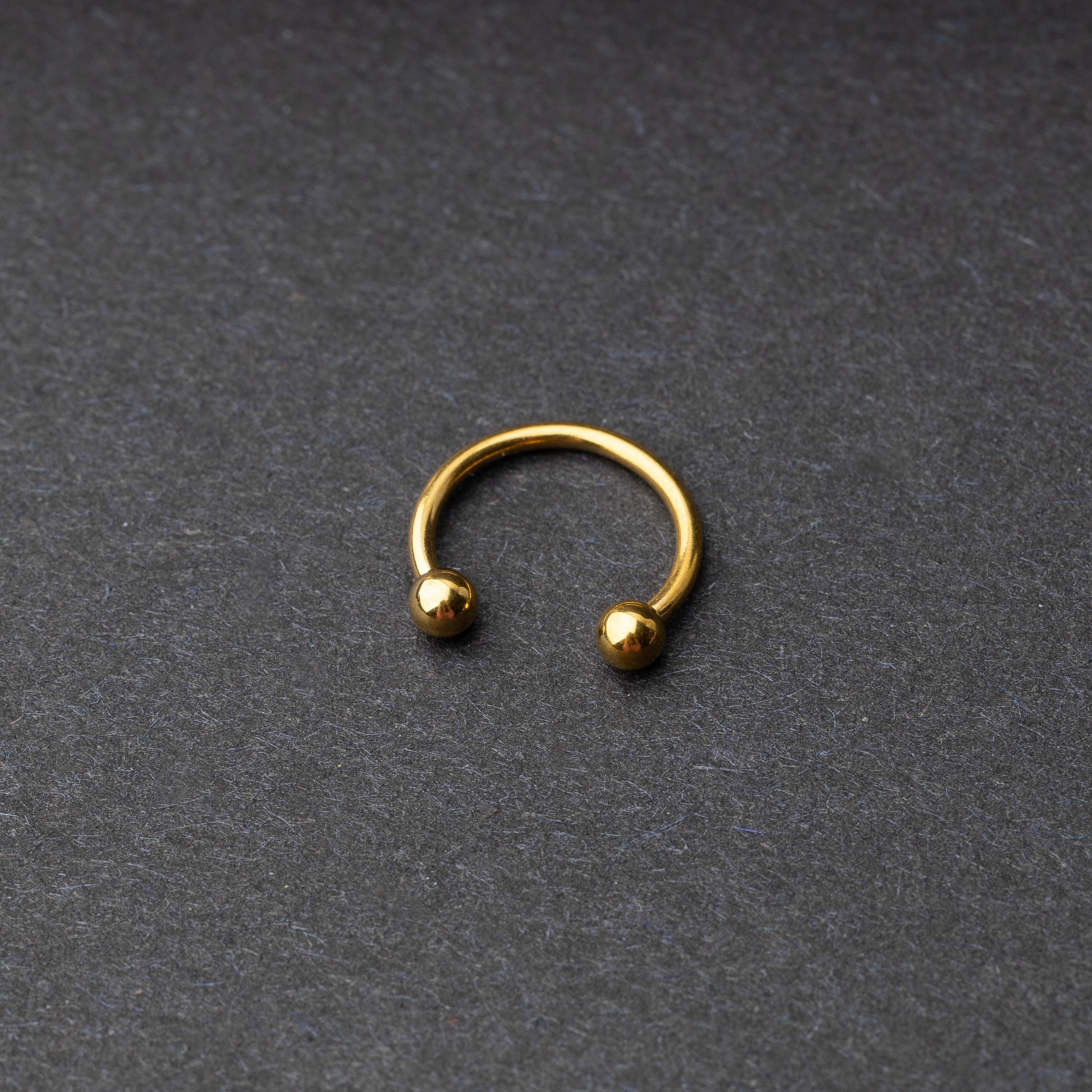 Gold Horseshoe Hoop on a dark background.