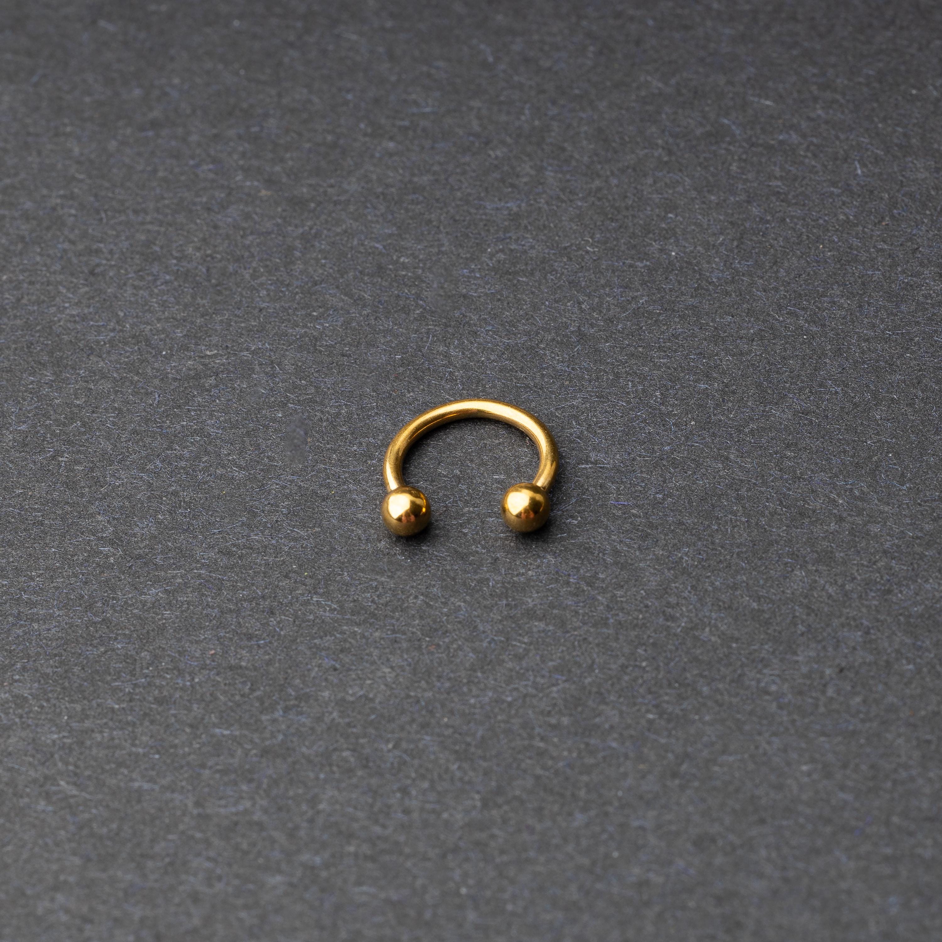 Gold Horseshoe Hoop on a dark background.