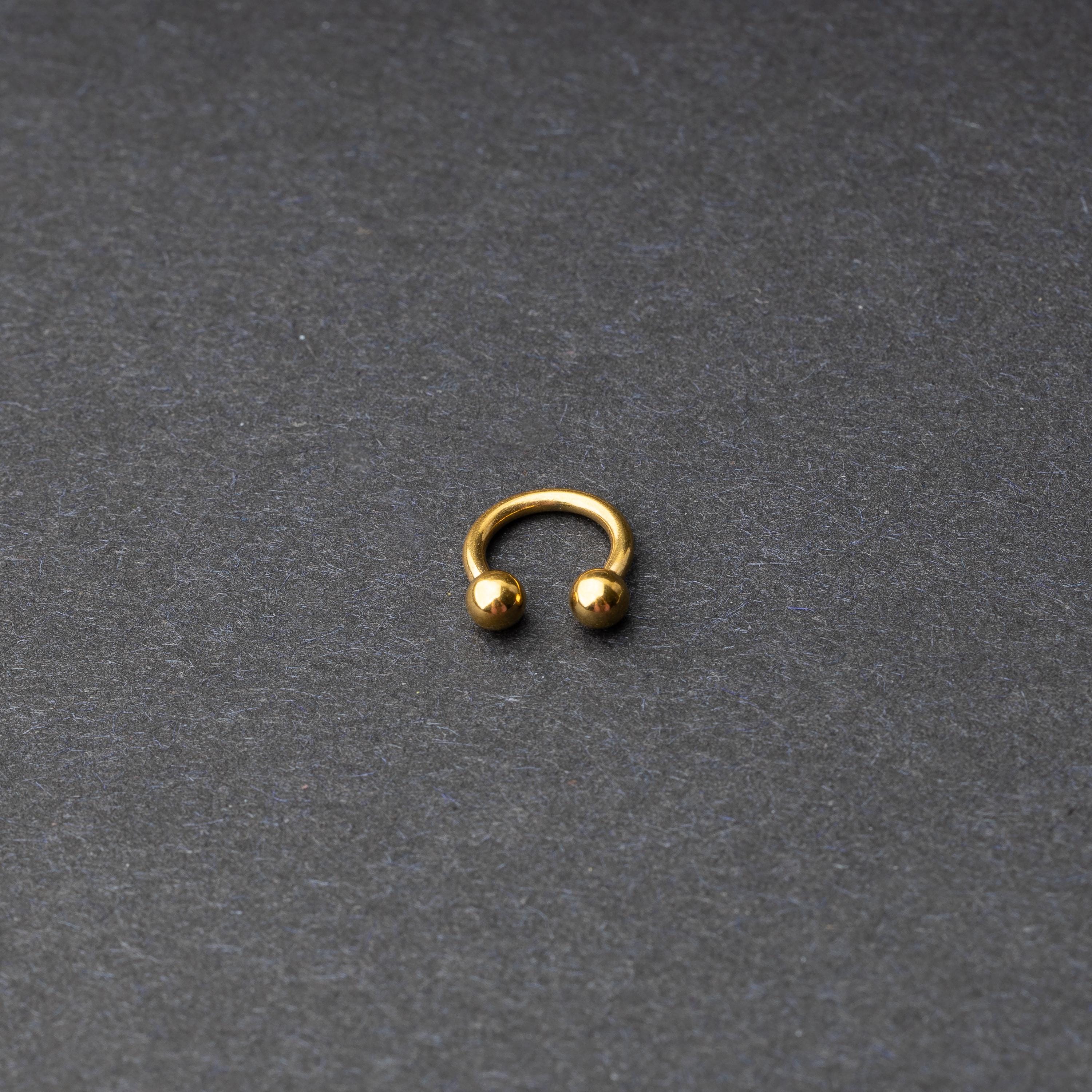 Gold Horseshoe Hoop on a dark background.