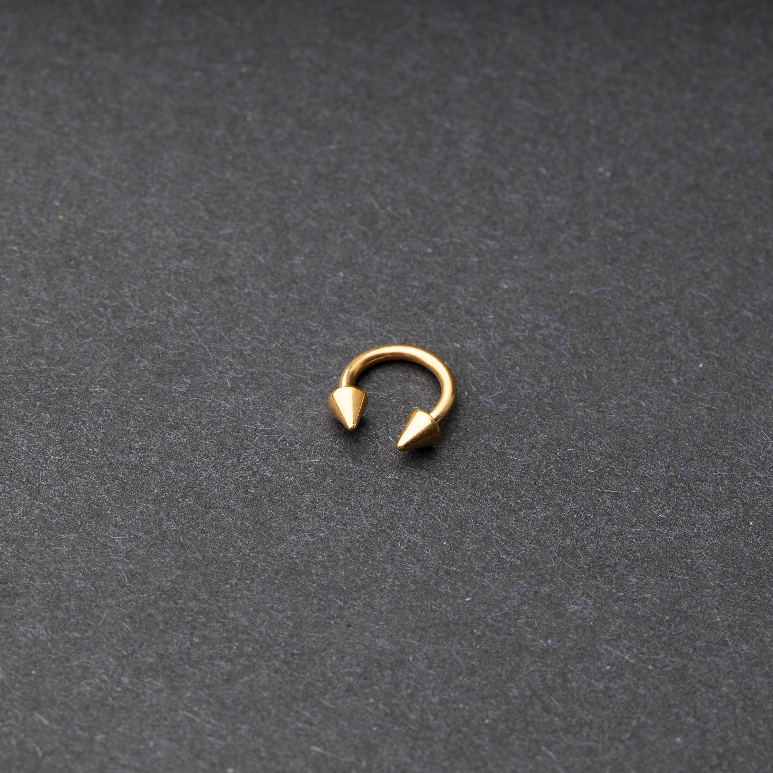 Stainless Steel circular barbell with spiked ends displayed on a dark background.