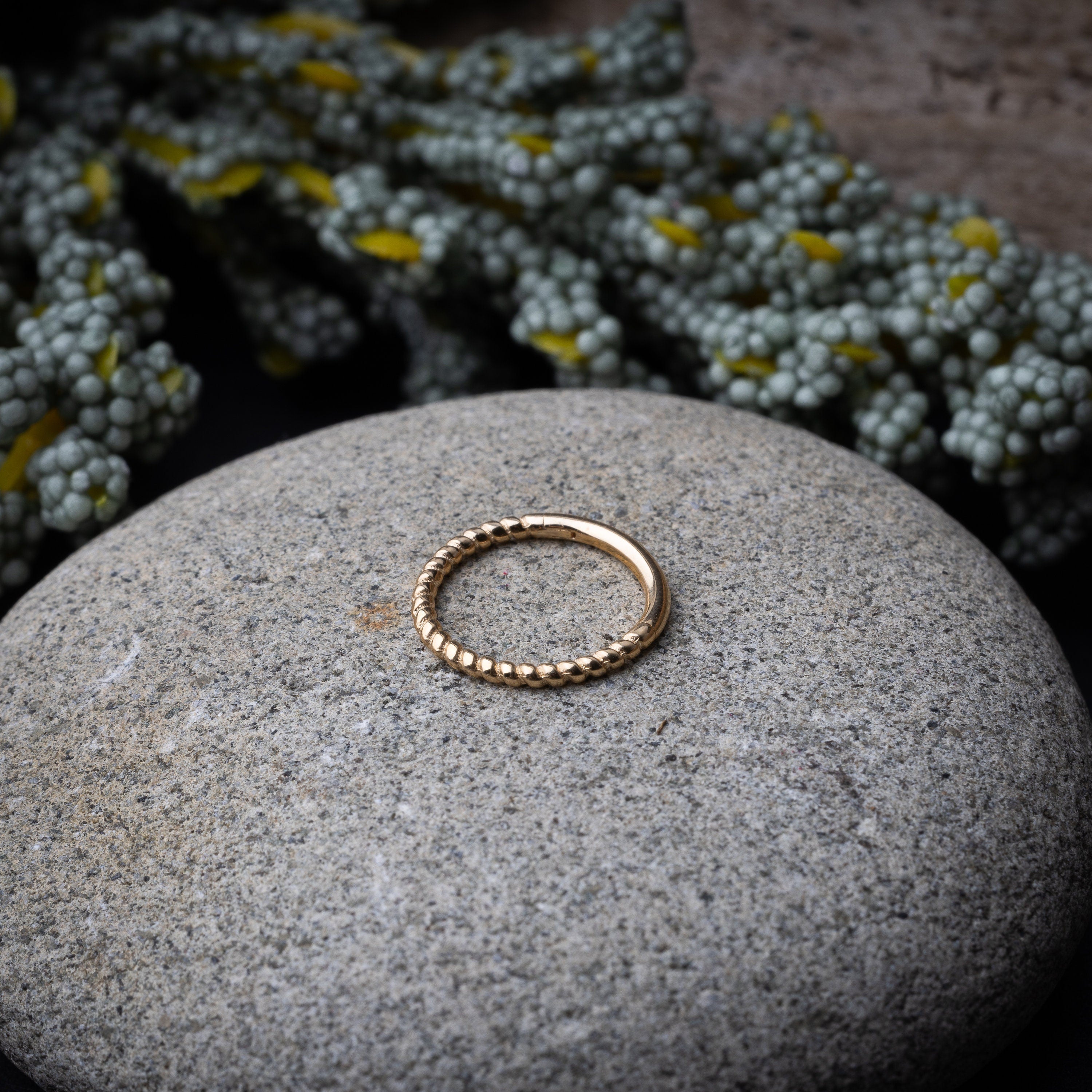 Close-up of a gold rope-textured septum clicker on a stone background, showcasing its intricate design and open hinge mechanism.