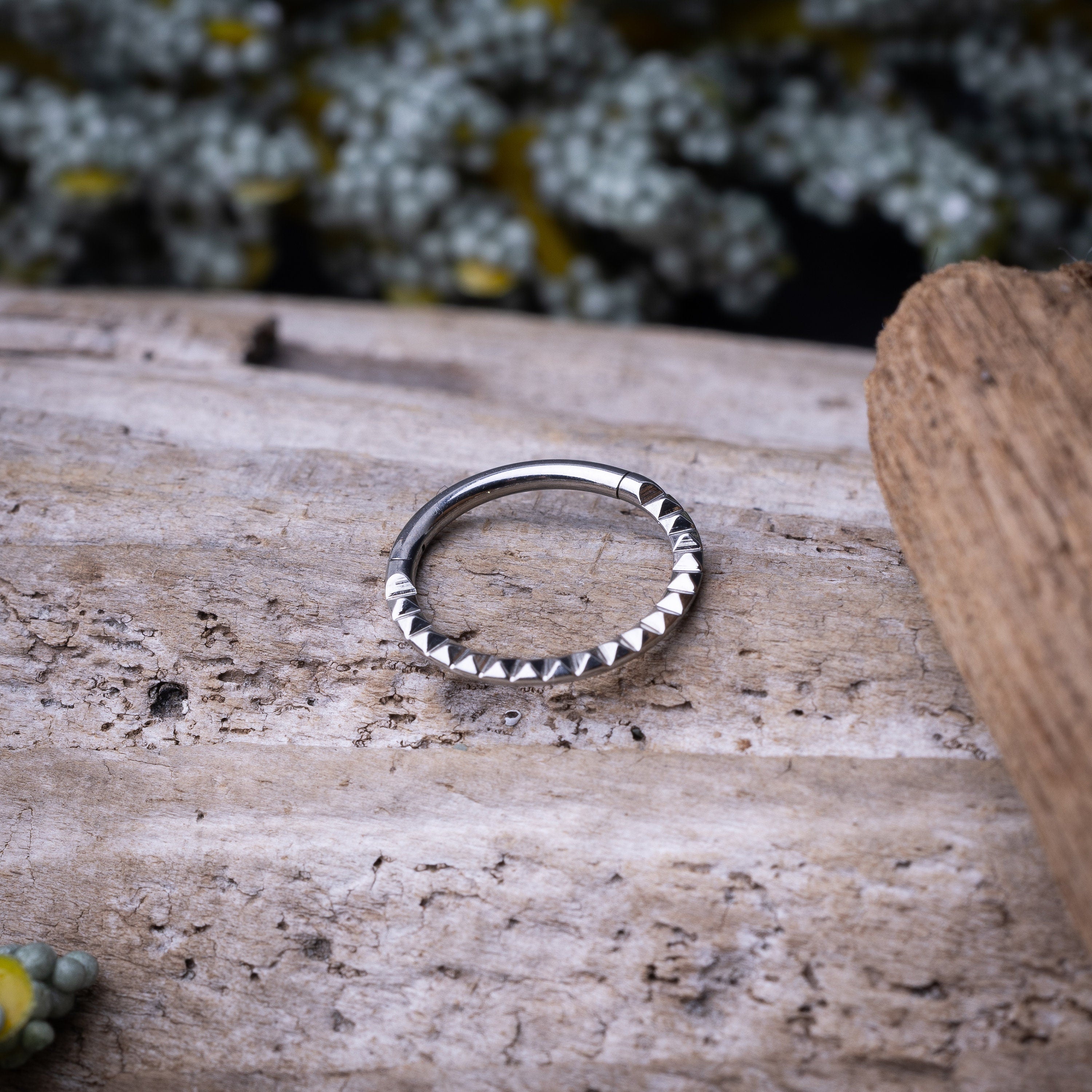 Spiked titanium clicker ring on a wooden background.