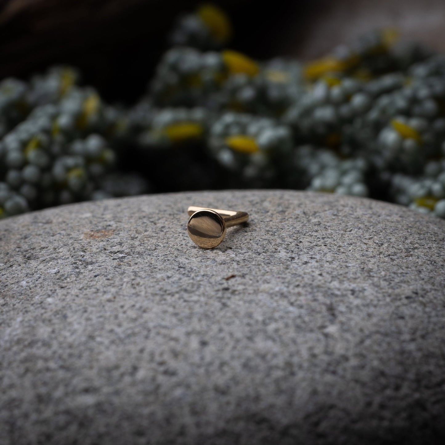 Solid gold nose stud with a flat disc design, displayed on a dark textured background.