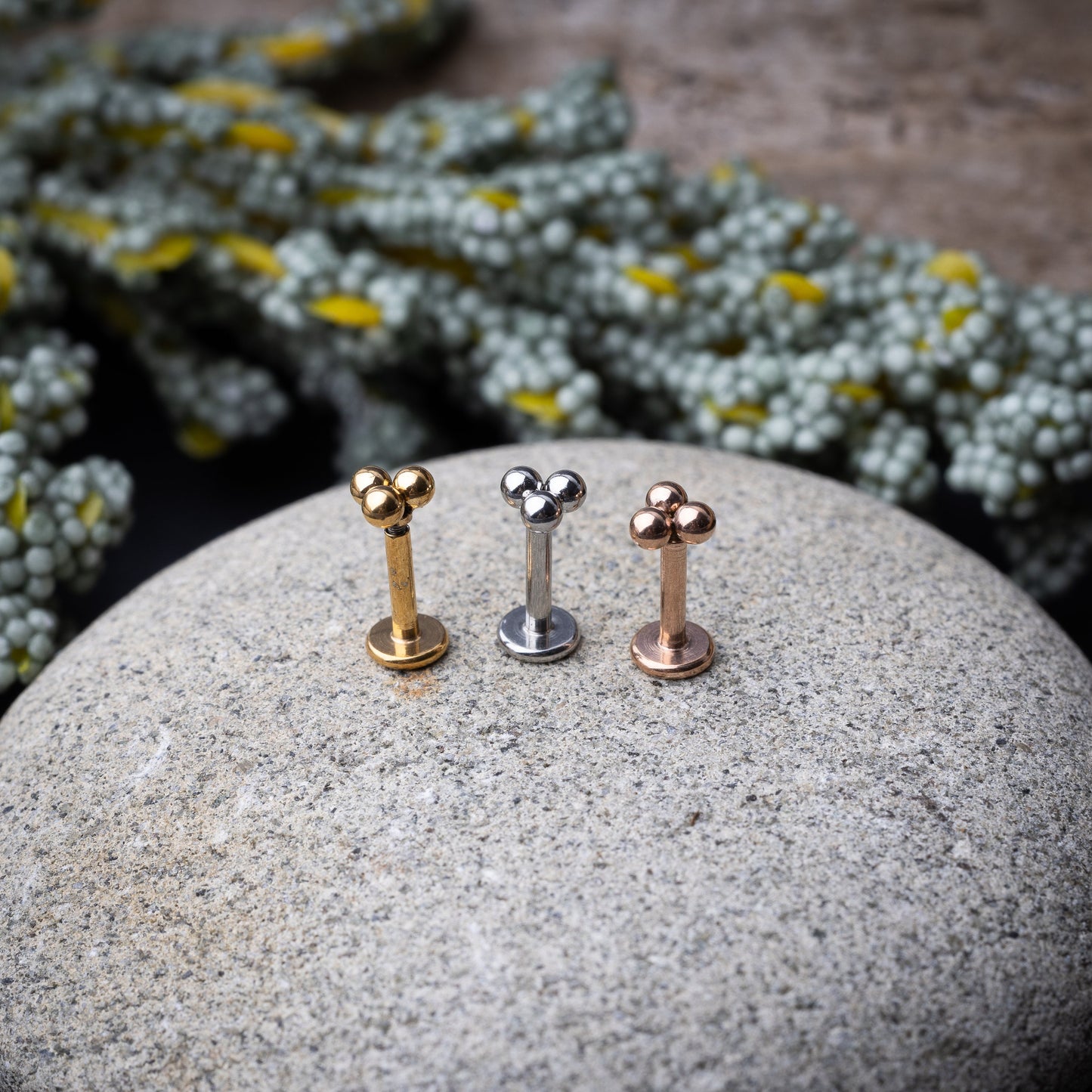 Close-up of three minimalist ball cluster labret studs in rose gold, silver, and gold finishes, displayed on a stone background.