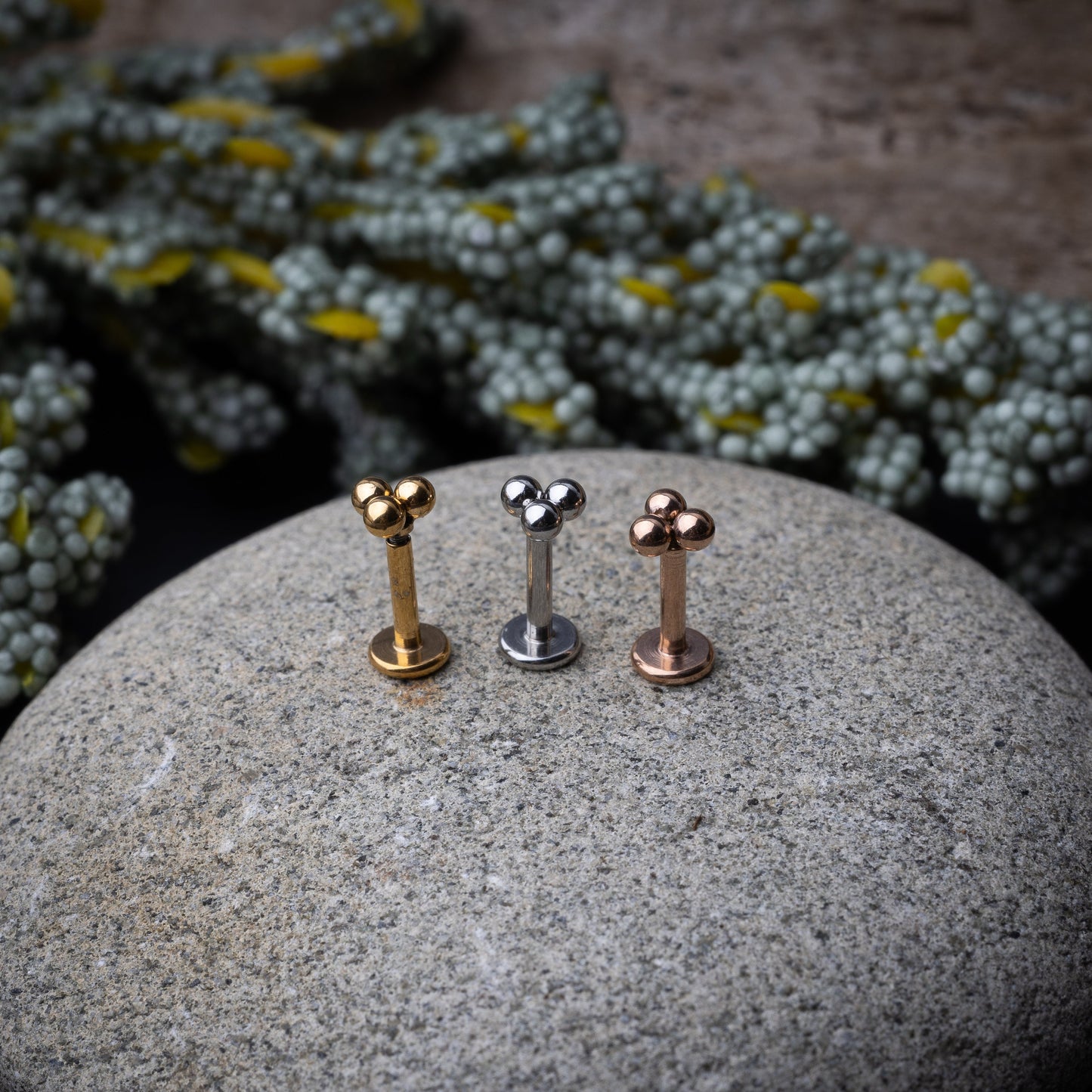 Close-up of three minimalist ball cluster labret studs in rose gold, silver, and gold finishes, displayed on a stone background.