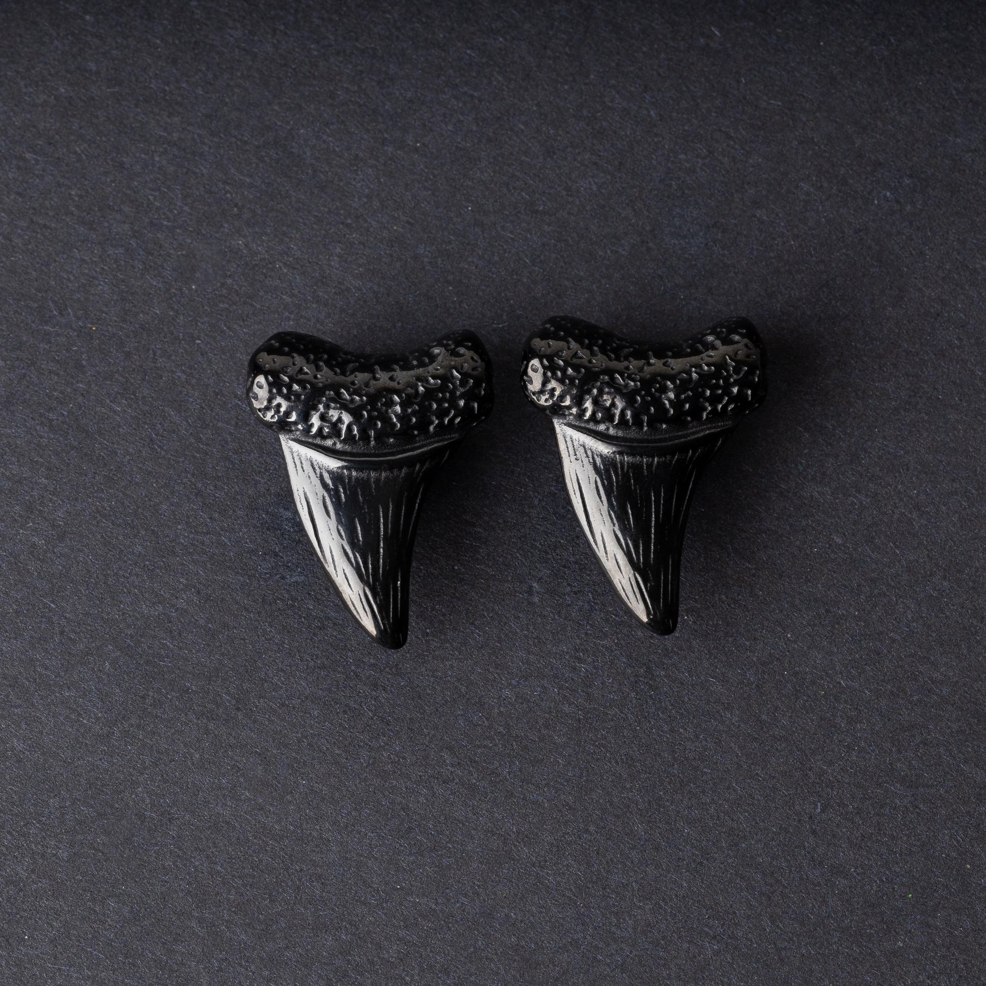 Close-up of black tooth ear weights featuring textured detailing, displayed on a dark background.

