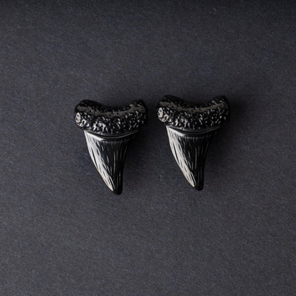 Close-up of black tooth ear weights featuring textured detailing, displayed on a dark background.

