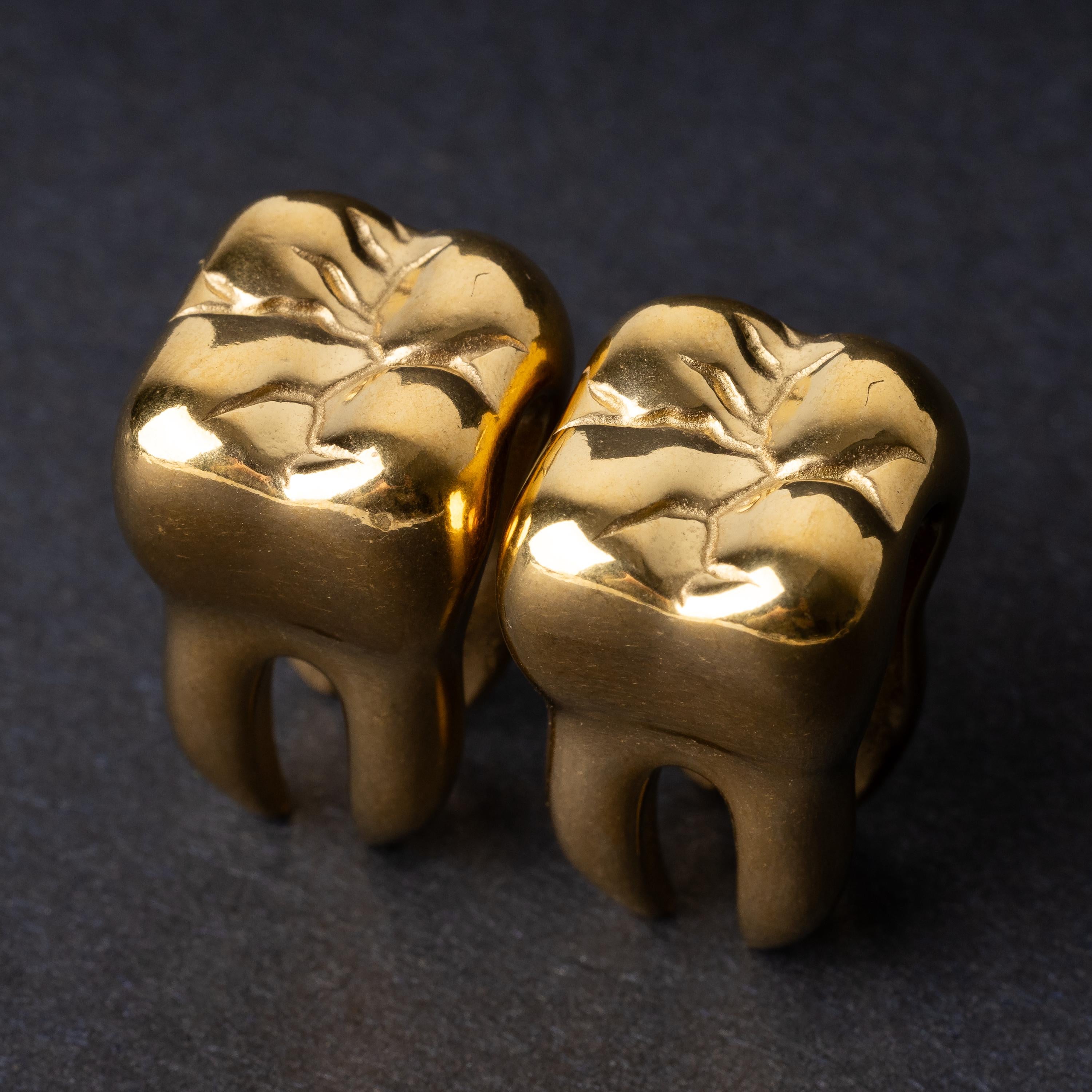 Close-up of gold tooth-shaped ear weights with polished detailing, displayed on a dark background.


