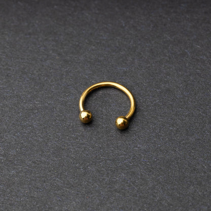 Gold Horseshoe Hoop on a dark background. 