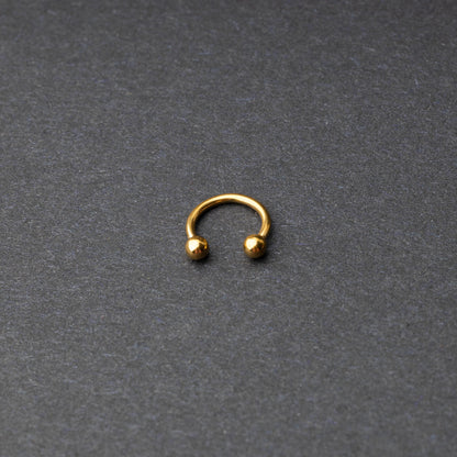 Gold Horseshoe Hoop on a dark background. 
