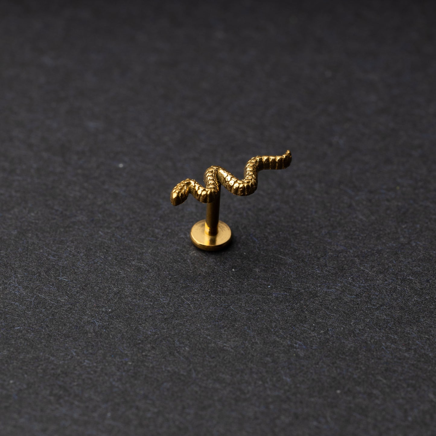 Gold snake motif labret made of stainless steel displayed on a dark background.