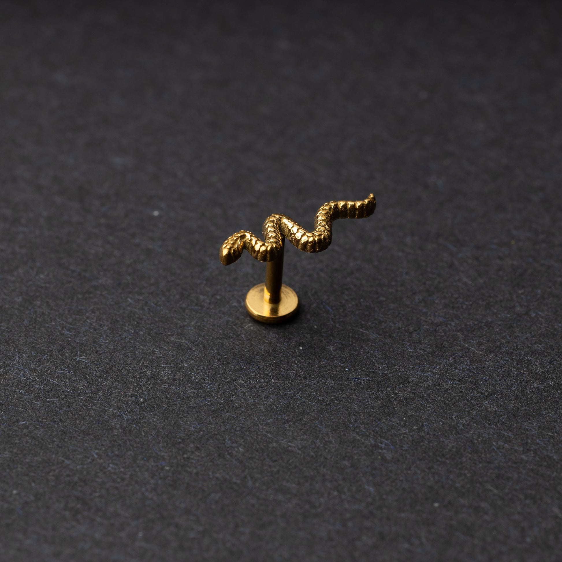 Gold snake motif labret made of stainless steel displayed on a dark background.