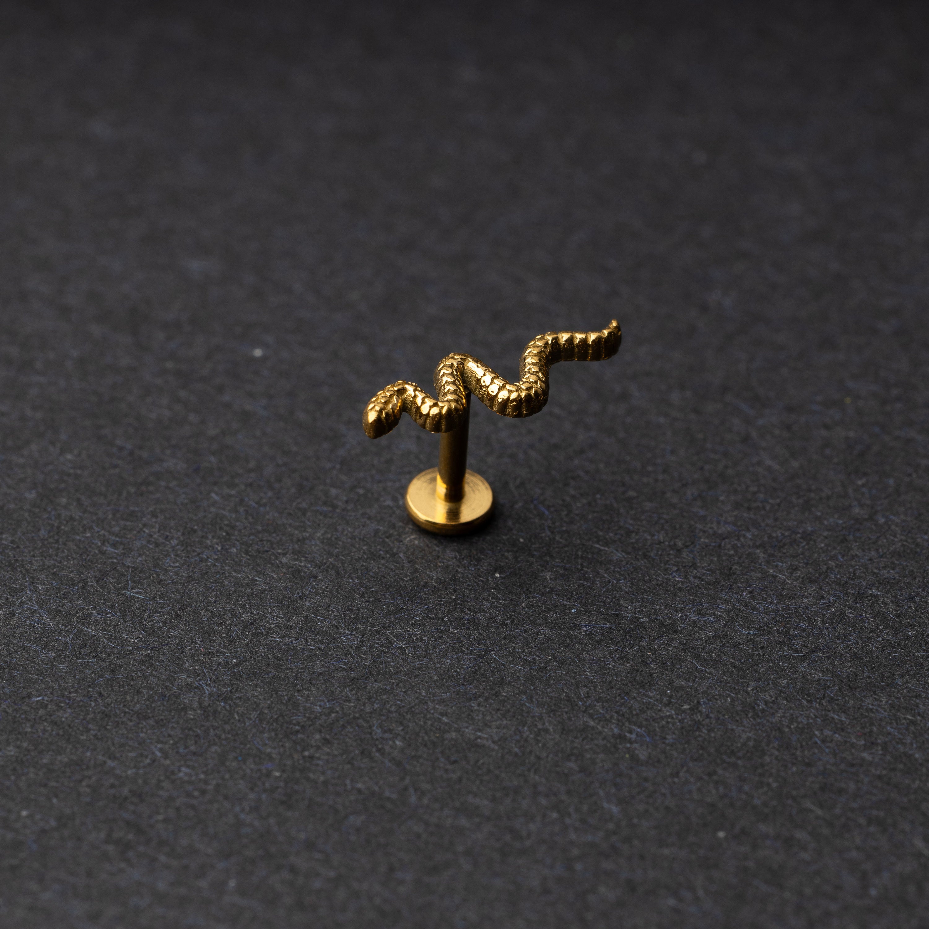 Gold snake motif labret made of stainless steel displayed on a dark background.