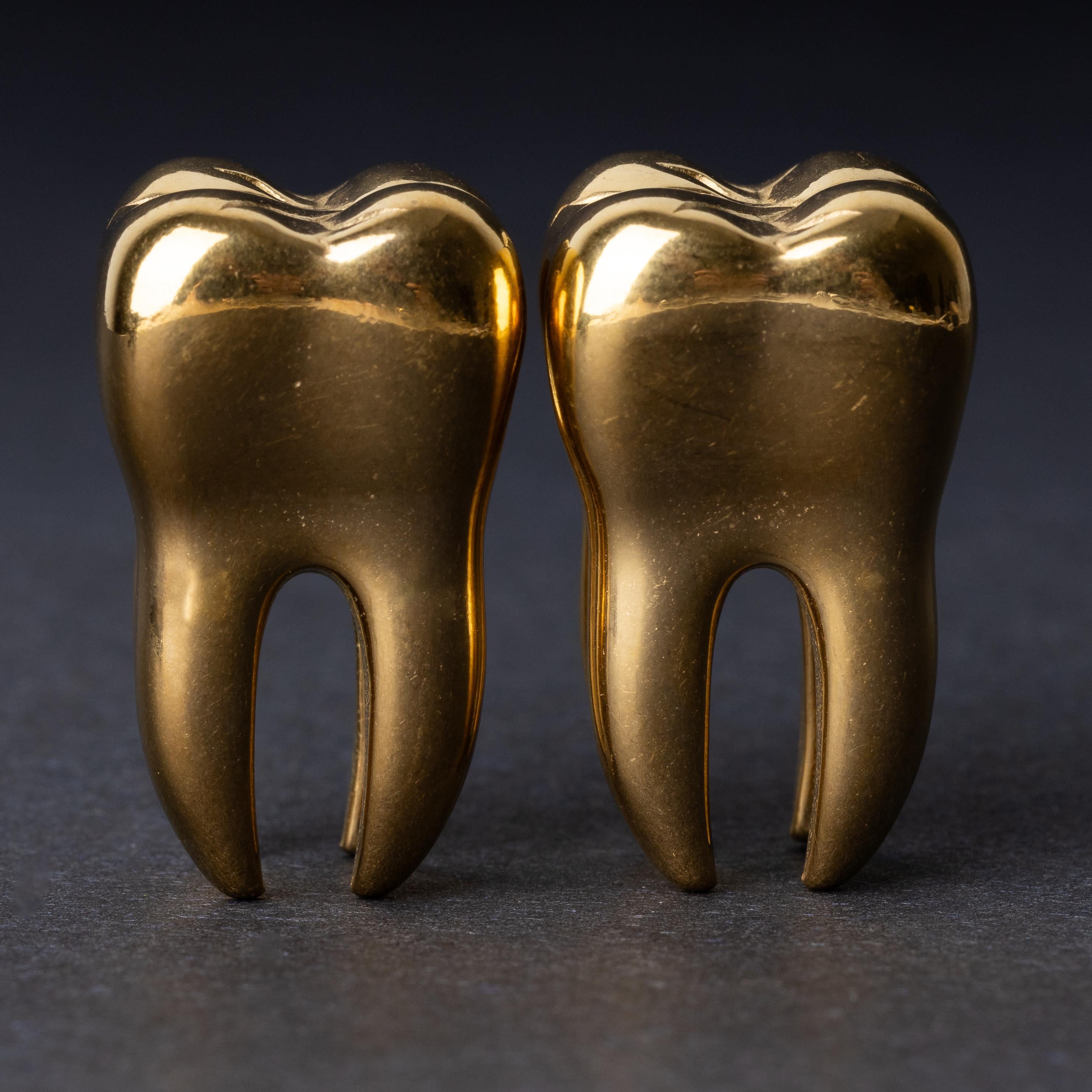 Pair of Tooth Ear Weights, Ear Hangers for Stretched Ears. Ornate Gauges, Plugs and Tunnels, Alternative Wedding Jewelry