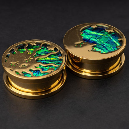 Gold plugs with sun and moon designs, accented by iridescent abalone inlay, displayed on a dark background.