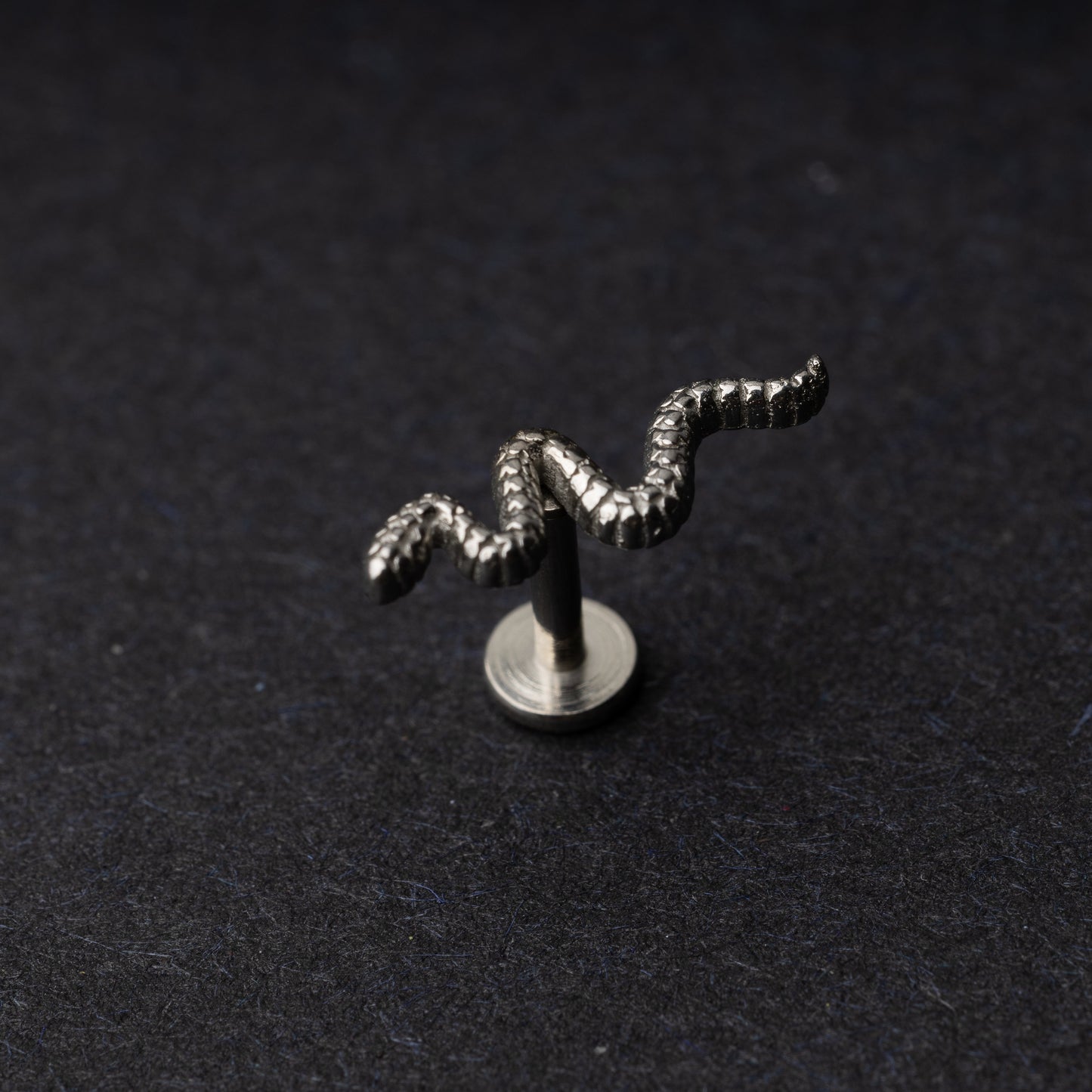 Silver snake motif labret made of stainless steel displayed on a dark background.