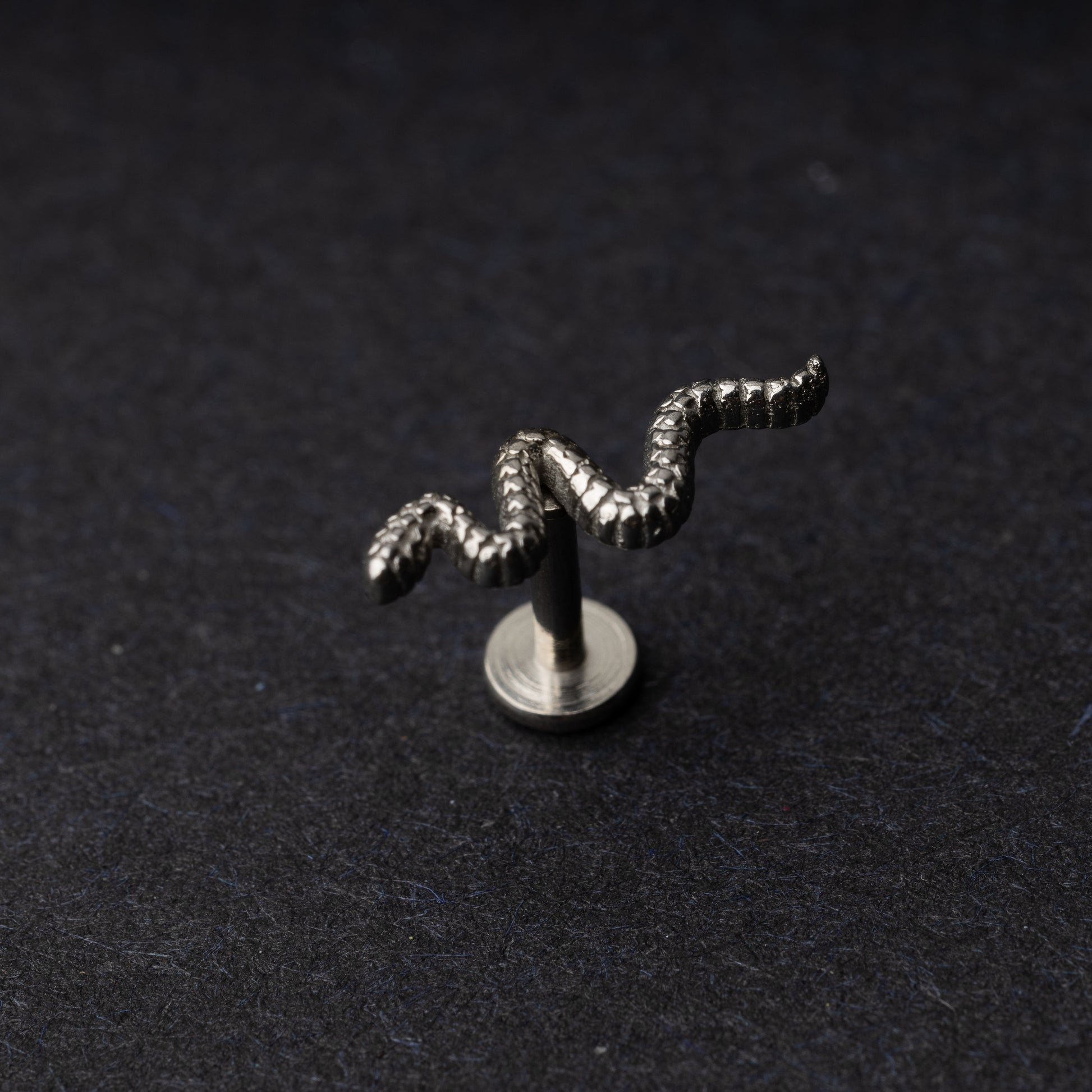 Silver snake motif labret made of stainless steel displayed on a dark background.