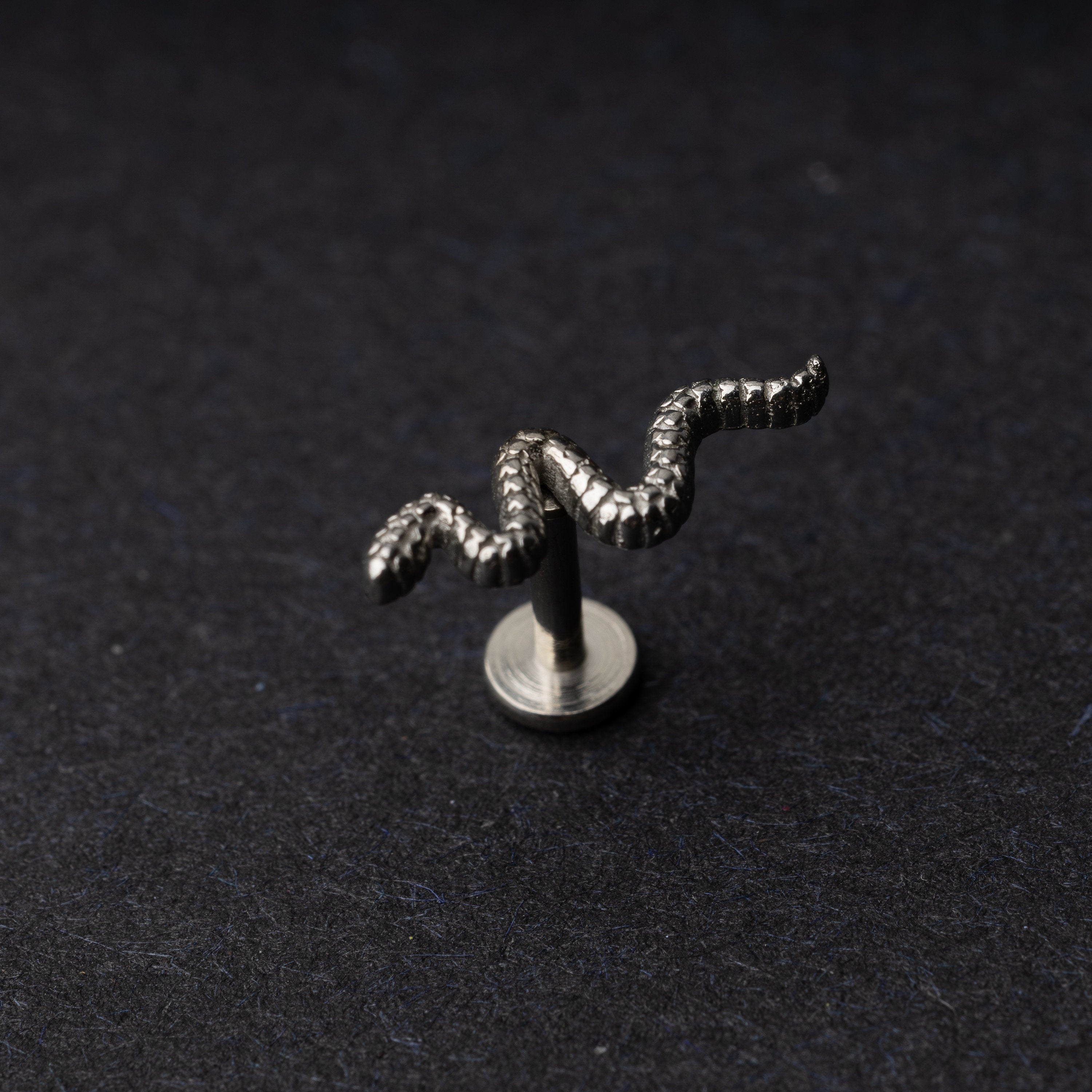 Silver snake motif labret made of stainless steel displayed on a dark background.