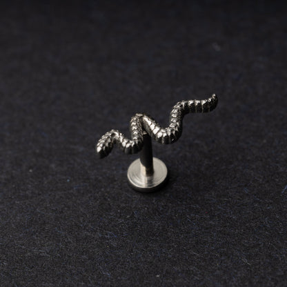 Silver snake motif labret made of stainless steel displayed on a dark background.