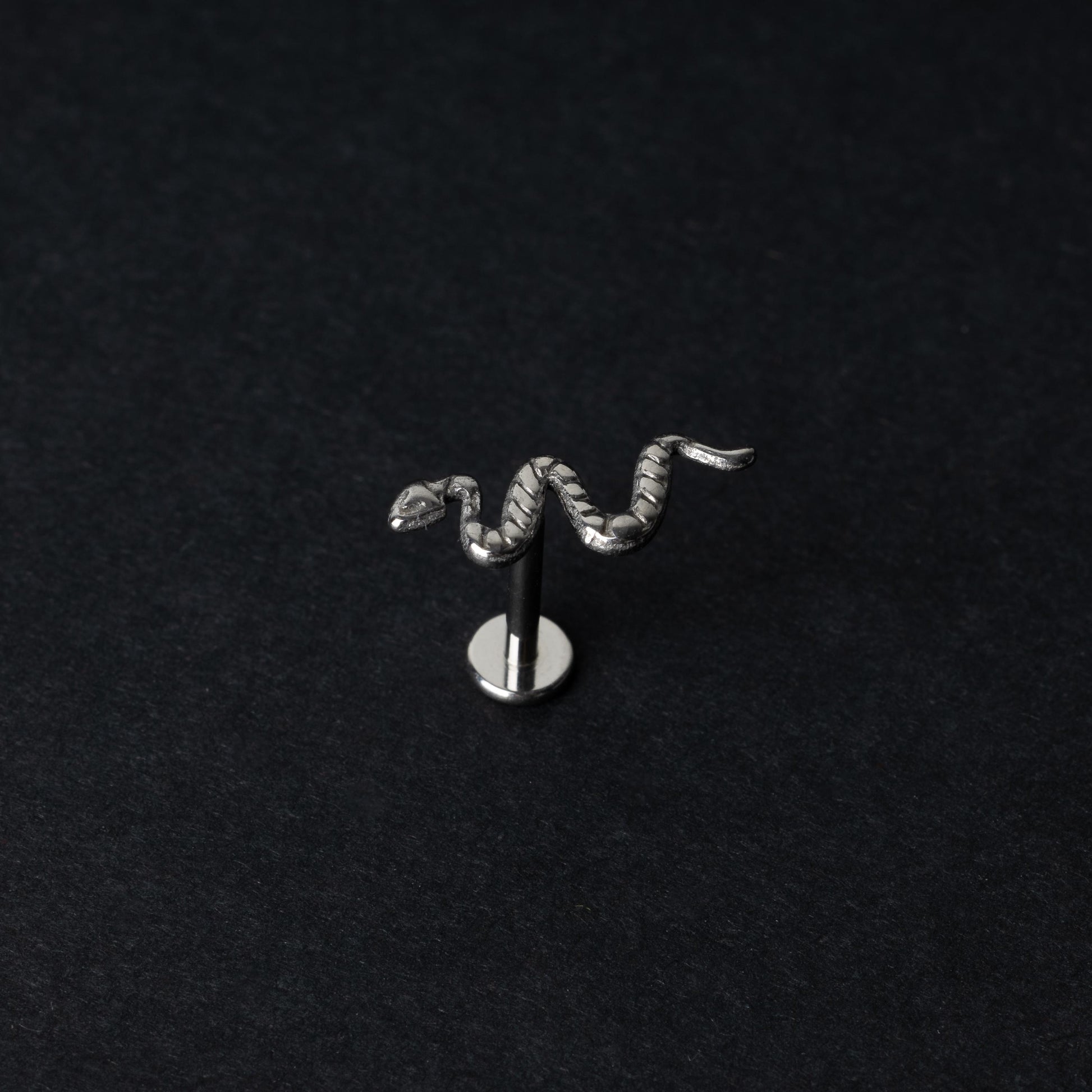 Silver-tone snake labret bars with intricate coiled snake designs displayed on a dark background.

