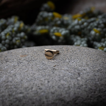 Solid gold nose stud with a flat disc design, displayed on a dark textured background.