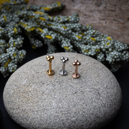 Close-up of three minimalist ball cluster labret studs in rose gold, silver, and gold finishes, displayed on a stone background.

